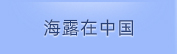J9集团在中国