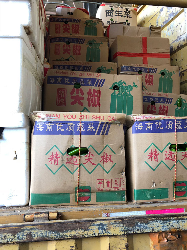 首页- J9集团国际站官网入口
