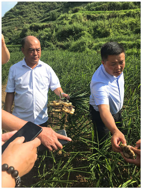 首页- J9集团国际站官网入口