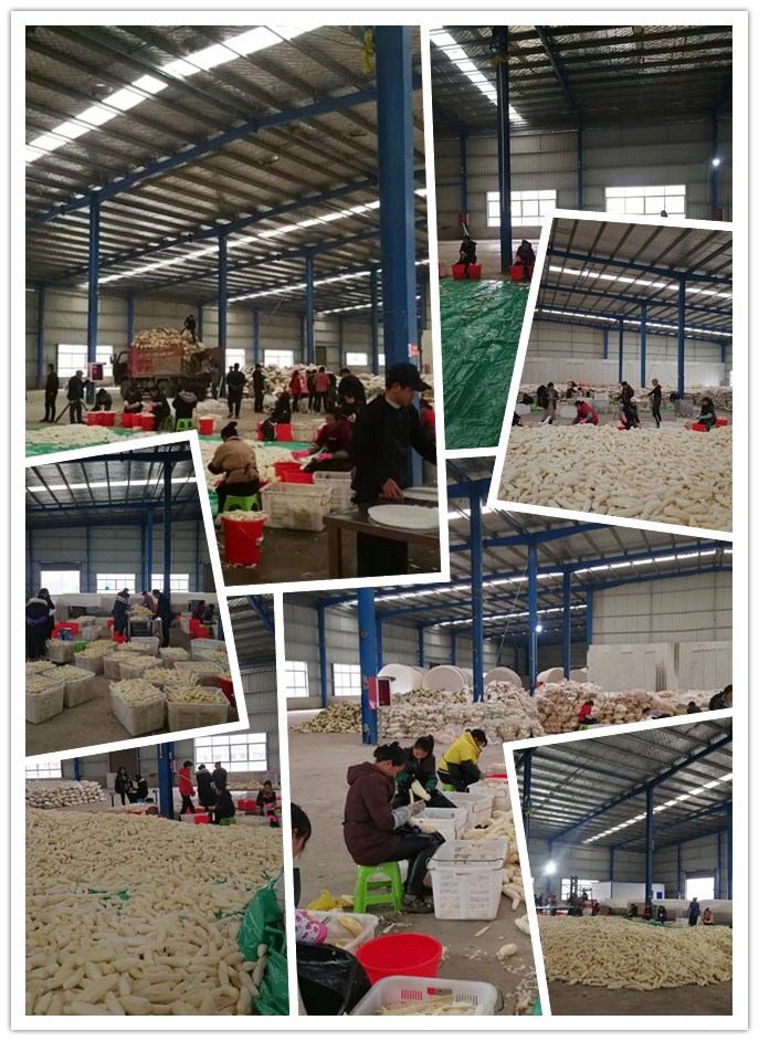 首页- J9集团国际站官网入口
